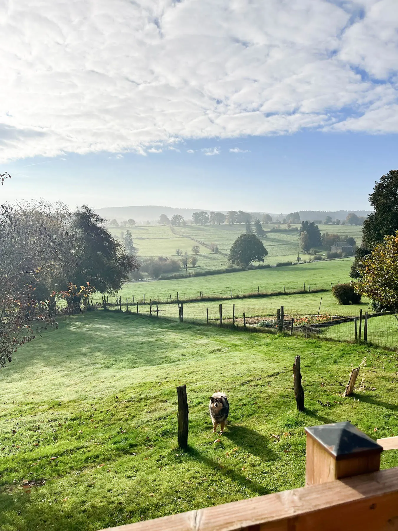 Uitzicht over de Ardeense heuvels vlakbij Durbuy, gezien vanuit de vakantiewoning voor 8 personen van En Routes, Ardennen