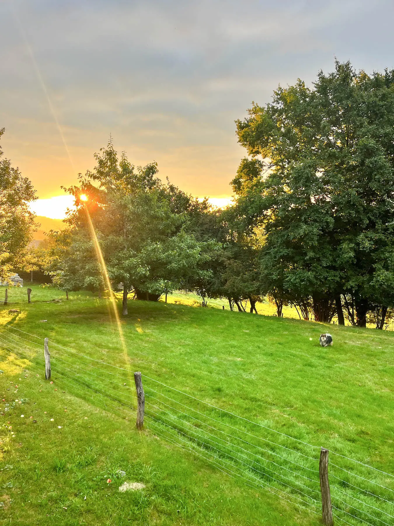 Uitzicht over de Ardeense heuvels vlakbij Durbuy, gezien vanuit de vakantiewoning voor 8 personen van En Routes, Ardennen