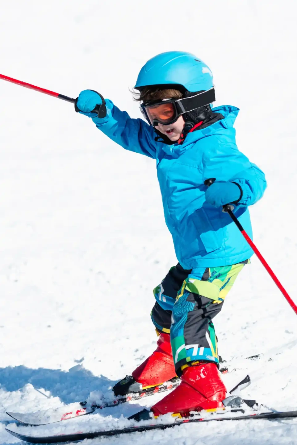 Langlaufen en sneeuw in de Ardennen, bij Vielsalm, vlakbij vakantiewoning voor 8 personen